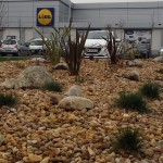 atlantic-route-lidl-voirie